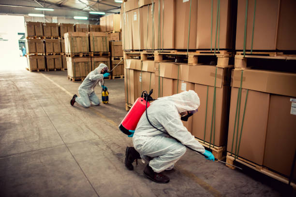 Best Pest Removal Services  in West Burlington, IA