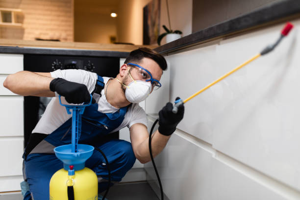 Best Affordable Pest Control Services  in West Burlington, IA