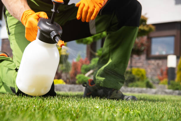 Best Cockroach Control Services  in West Burlington, IA
