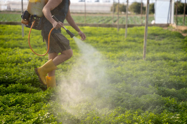 Best Wildlife Control Services  in West Burlington, IA