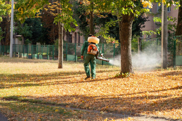 Best Ant Control Services  in West Burlington, IA