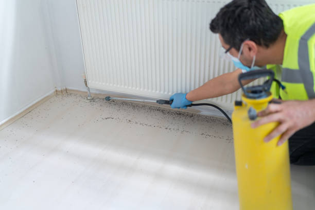 Best Wasp Removal Services  in West Burlington, IA