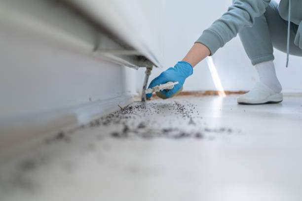 Best Affordable Pest Control Services  in West Burlington, IA