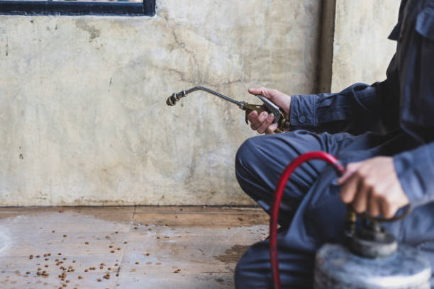 Best Exterminator Services  in West Burlington, IA